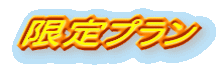限定プラン
