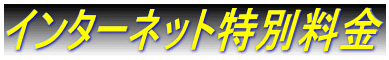 インターネット特別料金